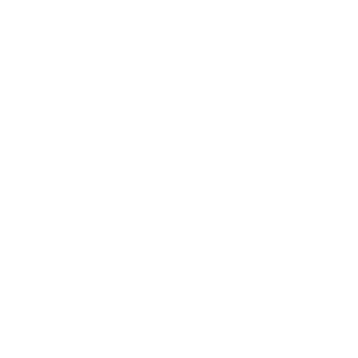 consultor